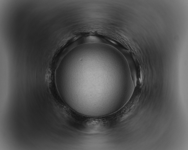 X0000093110750200710101021