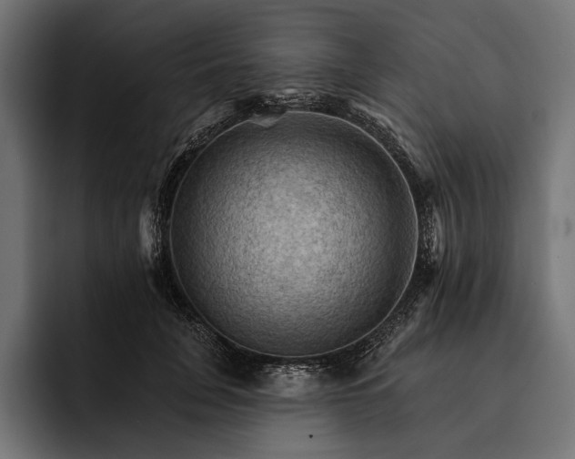 X0000093110751200710101021