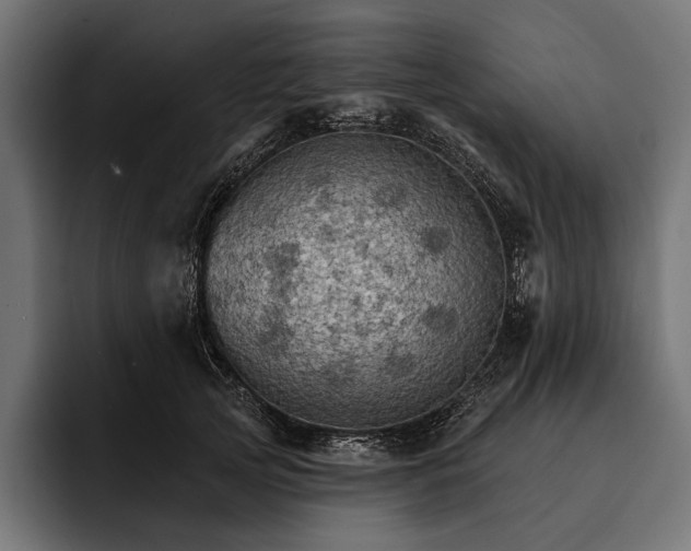 X0000093110753200710101021