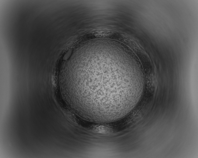 X0000093110755200710101021