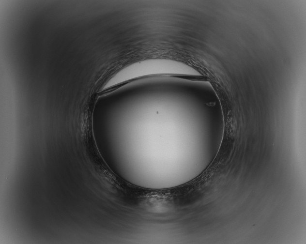 X0000093110756200710101021