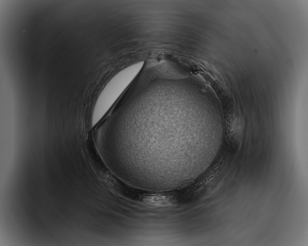 X0000093110759200710101022