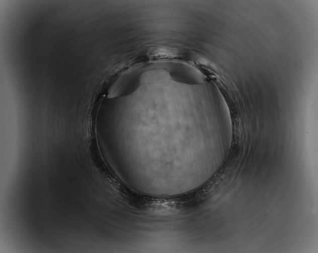 X0000093110760200710101022