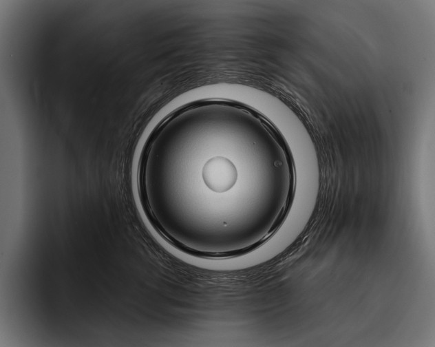 X0000093110762200710101022