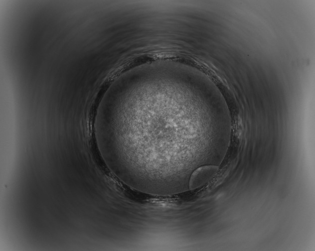 X0000093110763200710101022