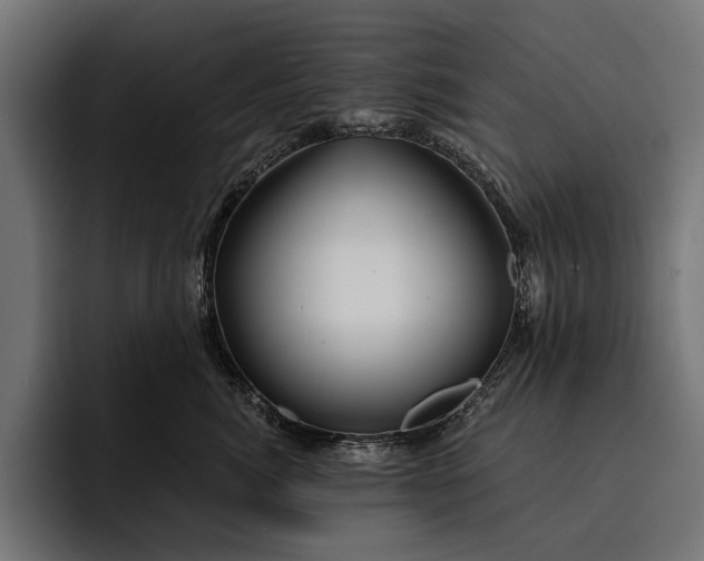 X0000093110764200710101022