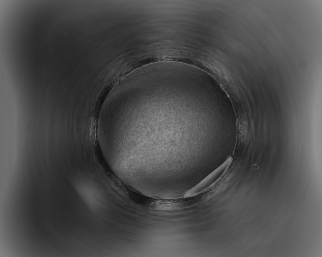 X0000093110766200710101022