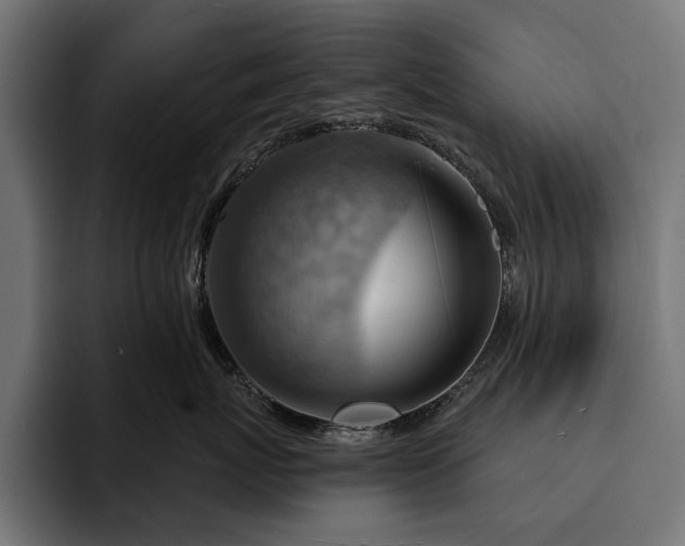 X0000093110767200710101022