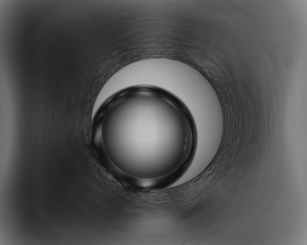 X0000093110768200710101022