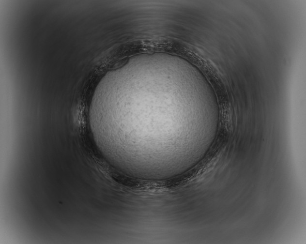 X0000093110770200710101021