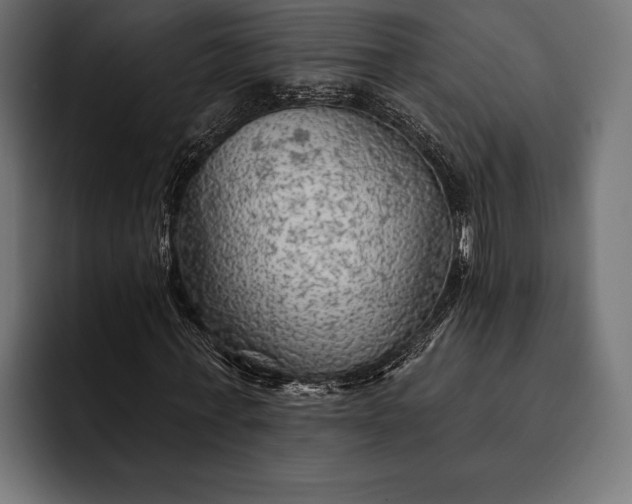 X0000093110771200710101021