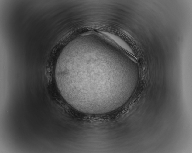 X0000093110774200710101021