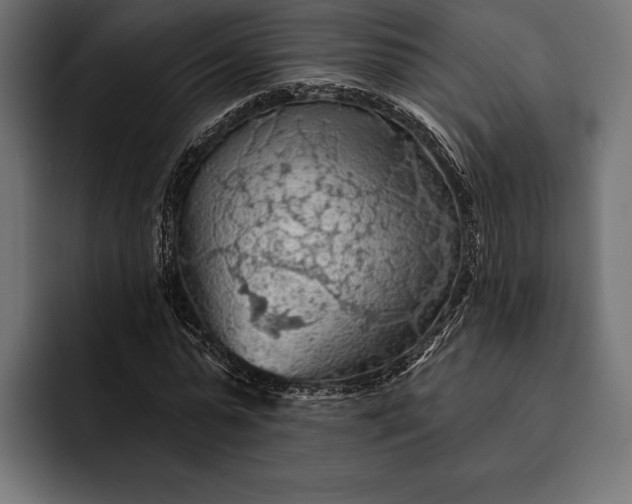 X0000093110775200710101021