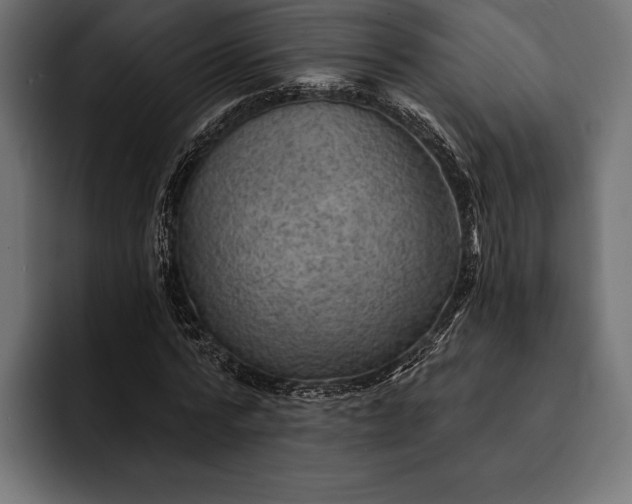 X0000093110776200710101021