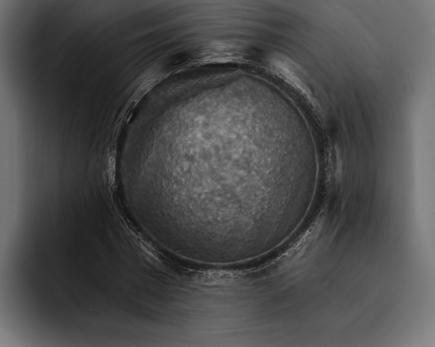 X0000093110777200710101021