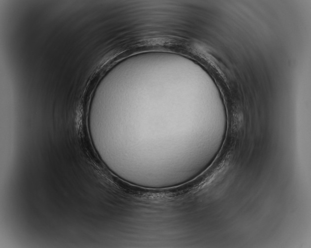 X0000093110778200710101021