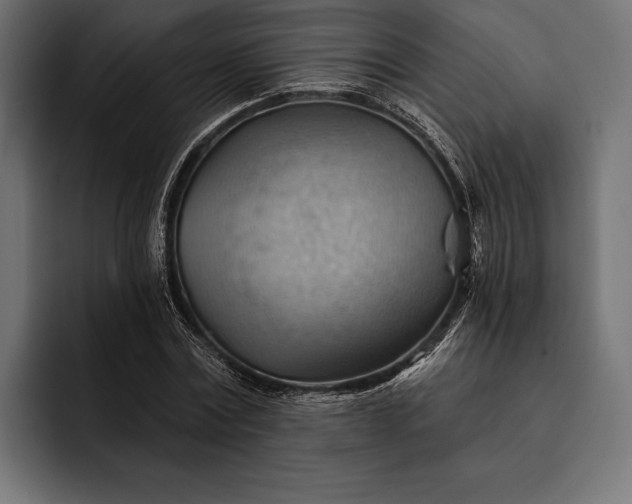 X0000093110779200710101021