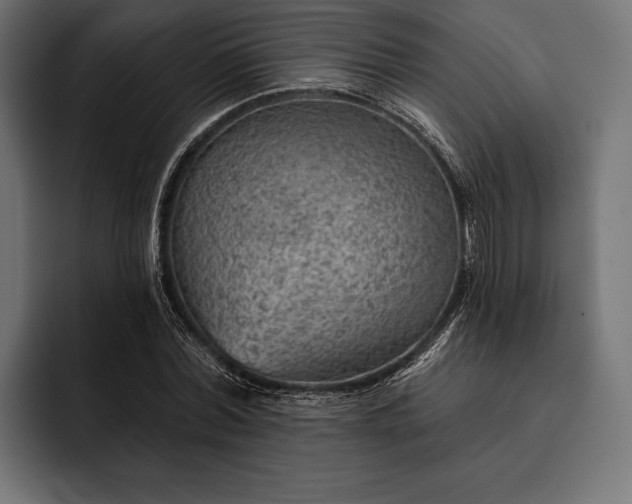 X0000093110780200710101021