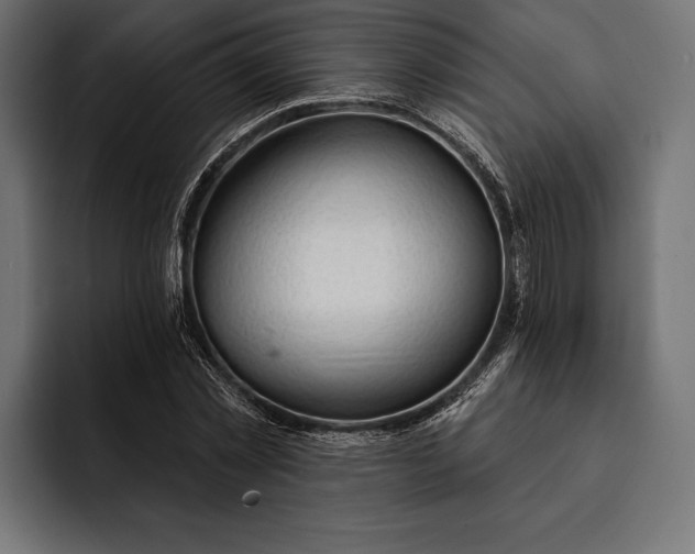 X0000093110781200710101021