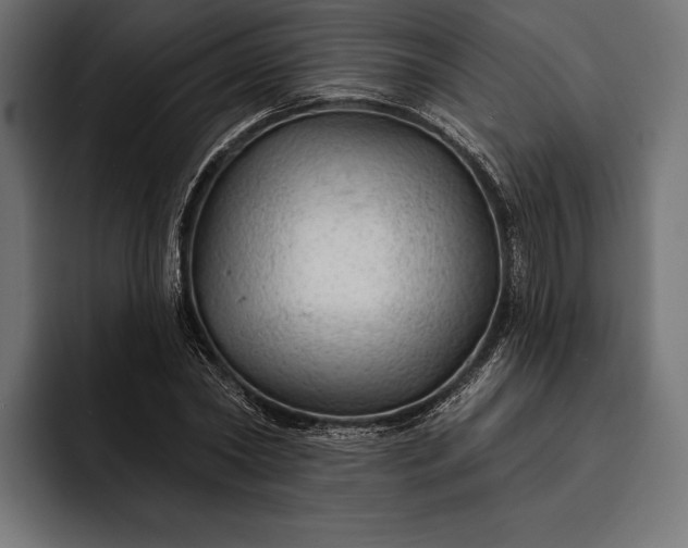 X0000093110782200710101021