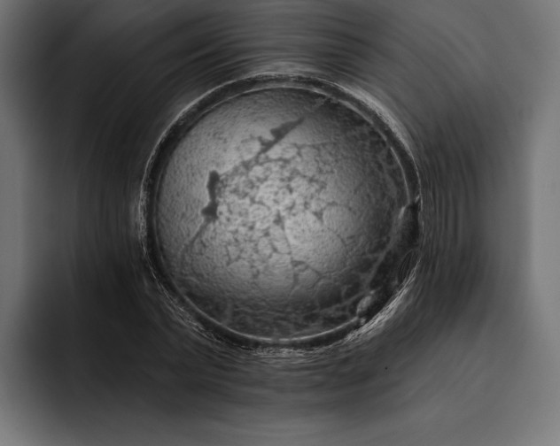 X0000093110783200710101021