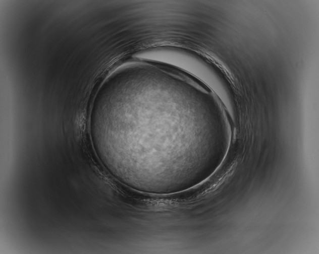 X0000093110785200710101021