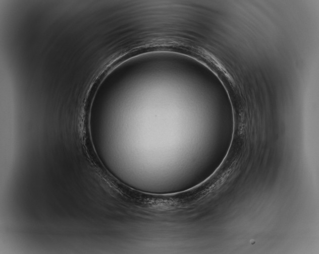 X0000093110786200710101021