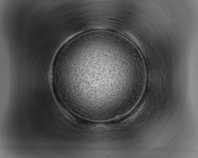 X0000093110787200710101021