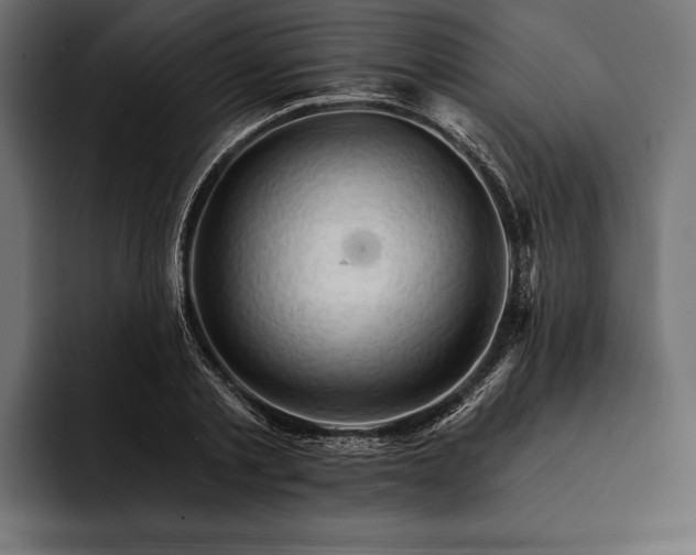 X0000093110789200710101021