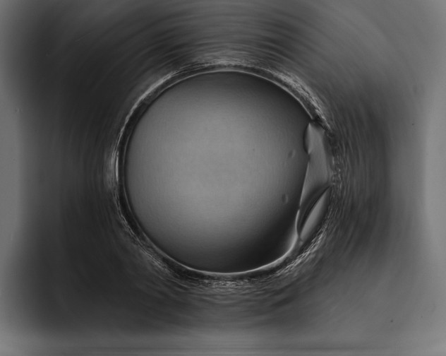 X0000093110790200710101021