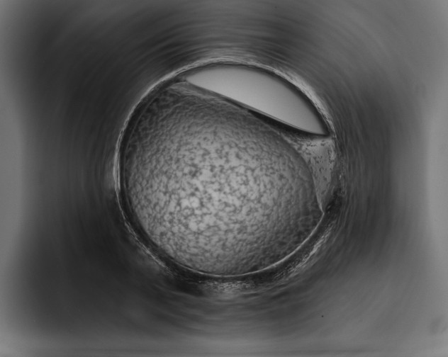 X0000093110791200710101021