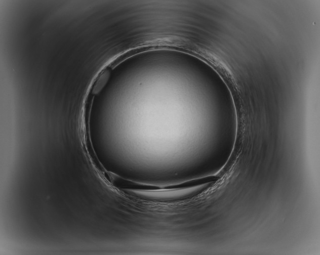 X0000093110792200710101021