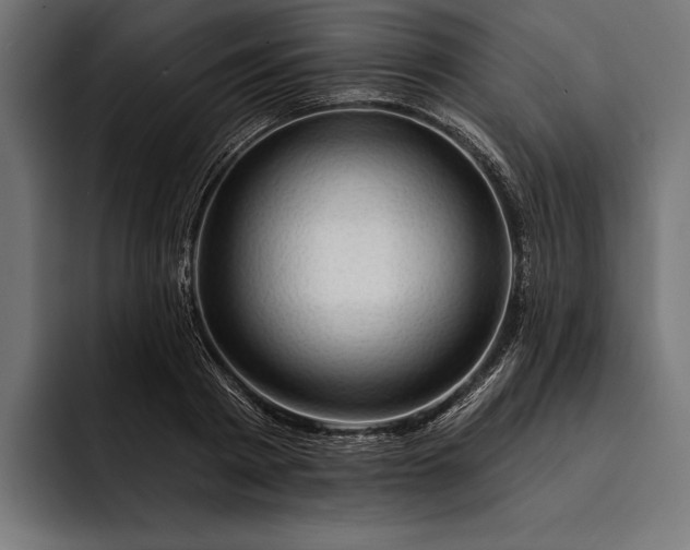 X0000093110793200710101021