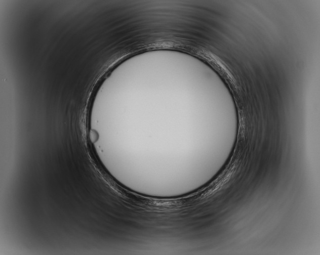 X0000093110794200710101021