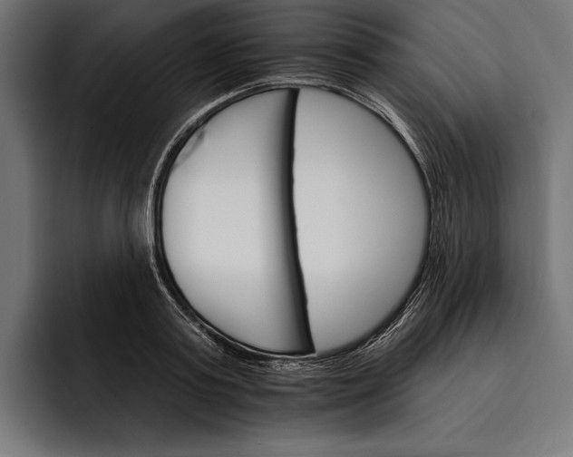 X0000093110795200710101021