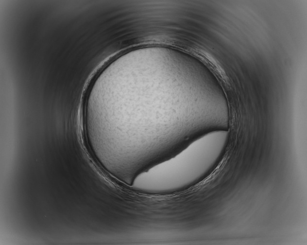 X0000093110796200710101021