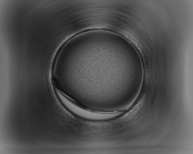 X0000093110797200710101021