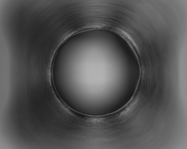 X0000093110802200710101021