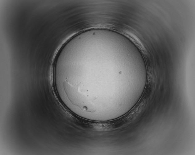 X0000093110804200710101021