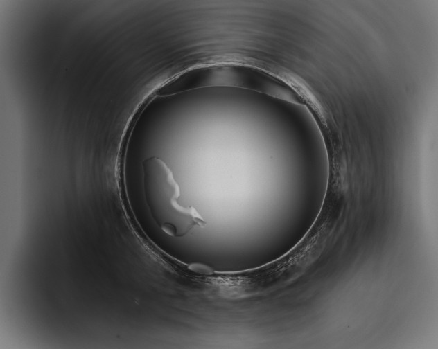 X0000093110805200710101021