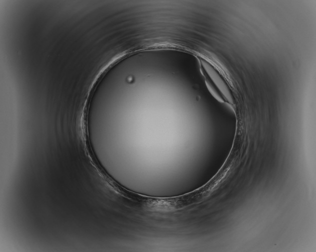 X0000093110806200710101021