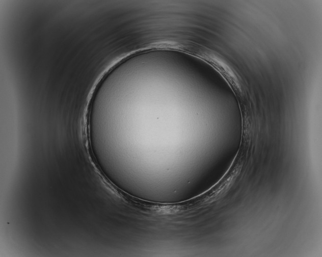 X0000093110808200710101021