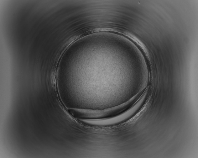 X0000093110809200710101021