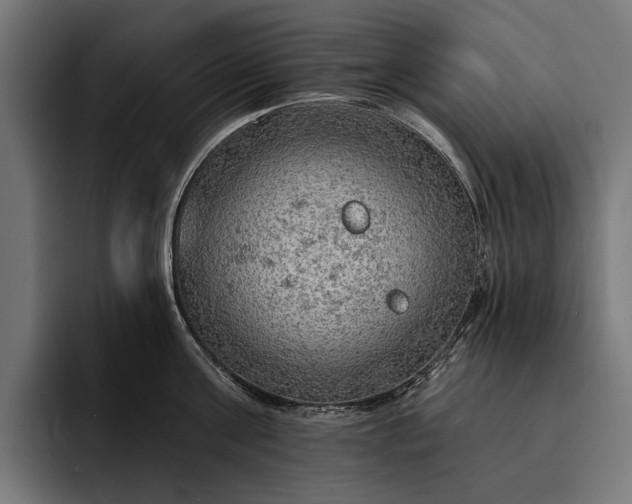 X0000093110811200710101021