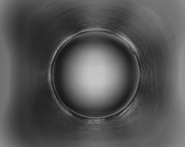 X0000093110813200710101021