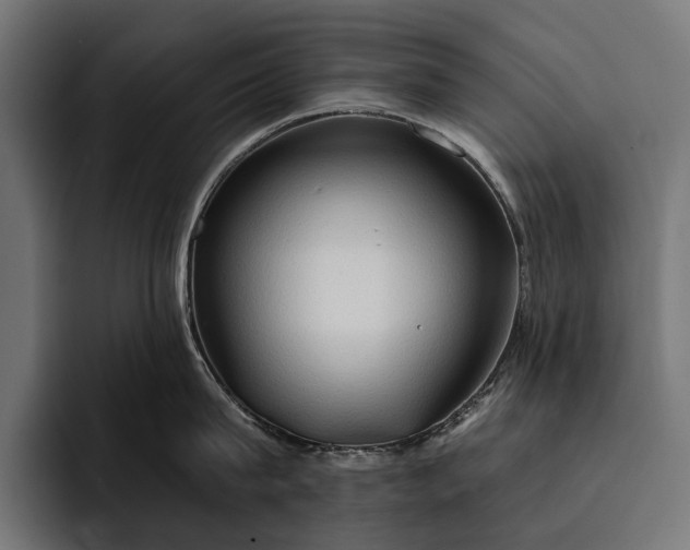 X0000093110815200710101021