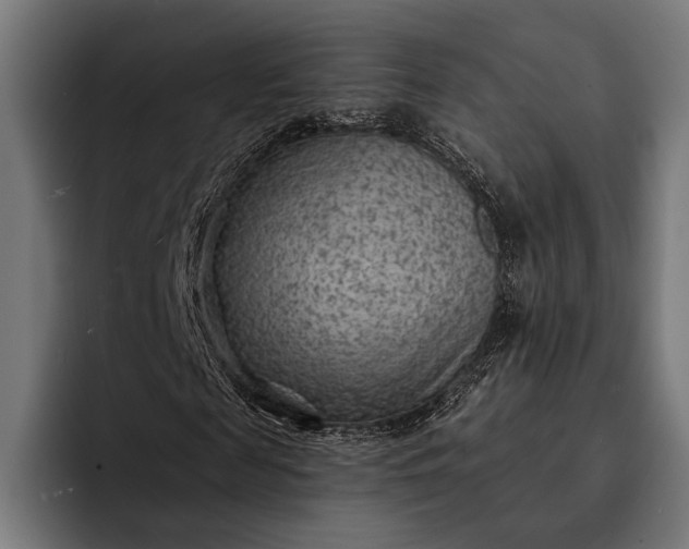 X0000093110817200710101020