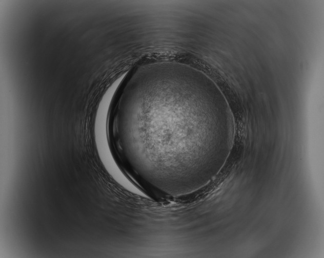 X0000093110818200710101020