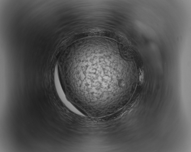 X0000093110819200710101020