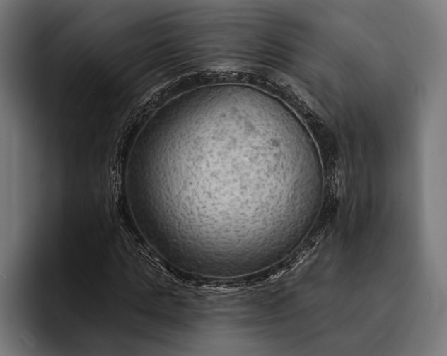 X0000093110821200710101020